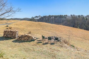 Property grounds - Mtn Views, New River Access & 98 Acres: Galax Gem (Galax)