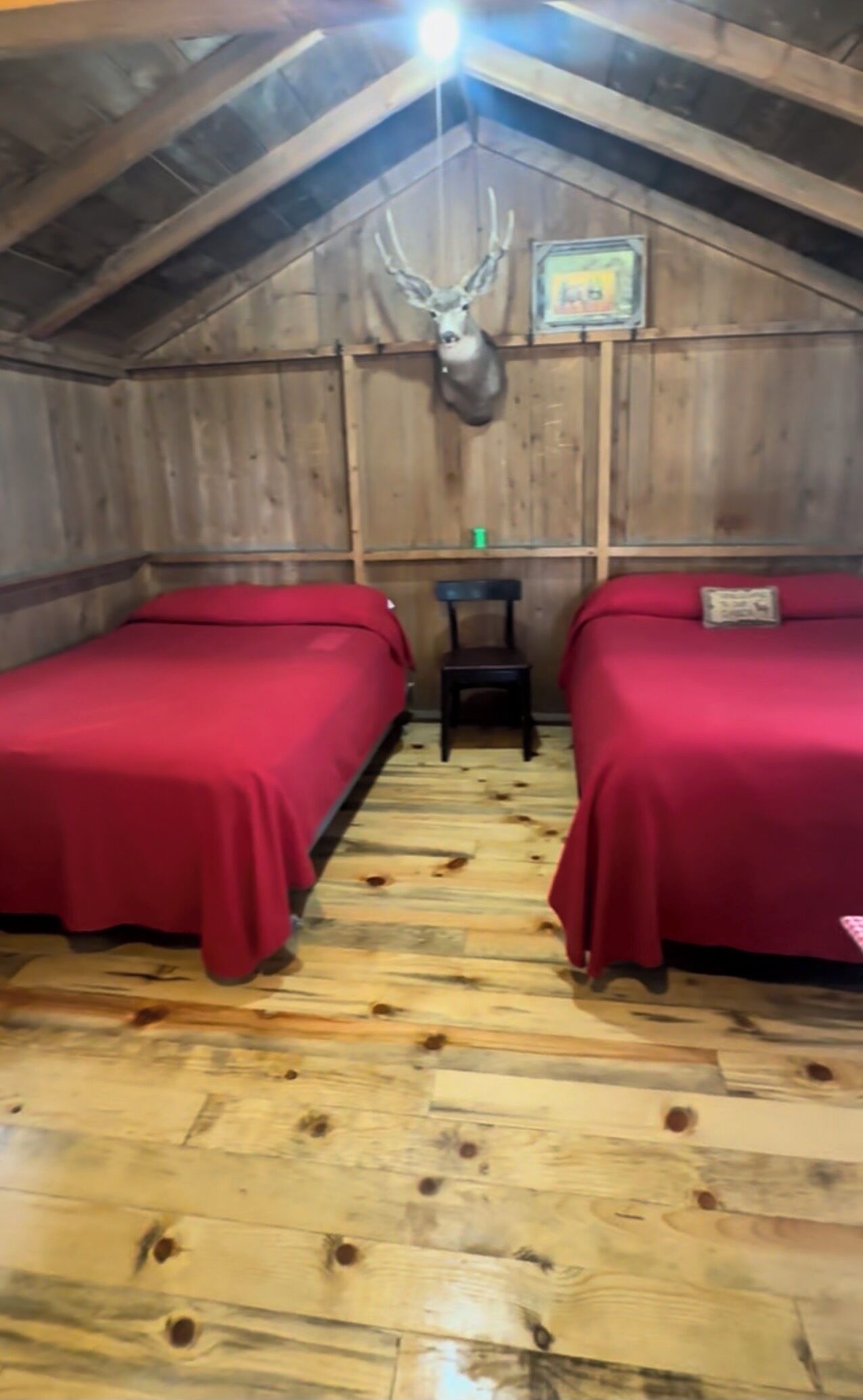 Une pièce rustique en bois, avec deux lits, un plafond en bois et une tête de cerf accrochée au mur.