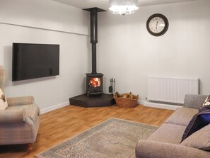 TV, fireplace - 3 bedroom accommodation in Llandysul (Llandysul)