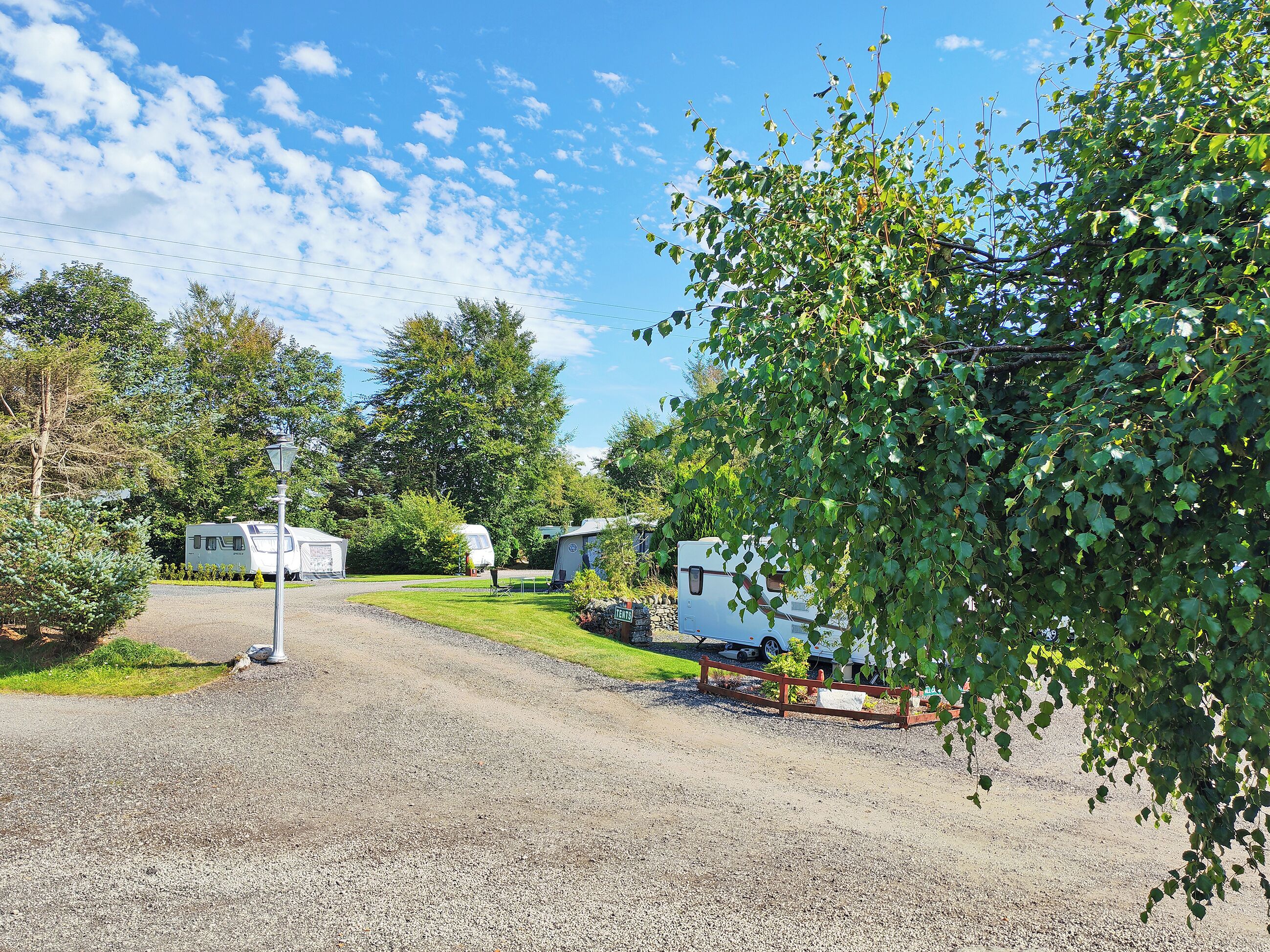 A campsite with RVs parked on gravel, surrounded by trees and greenery.