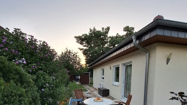 Un pati amb taula i cadires, envoltat de vegetació i un edifici amb finestra i porta.