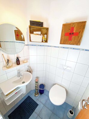 Shower, hair dryer