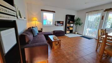 Fernseher, Arbeitsbereiche