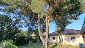 Una propietat residencial amb un arbre gran, un tobogan i un balancí, i una casa amb teulada de rajola.