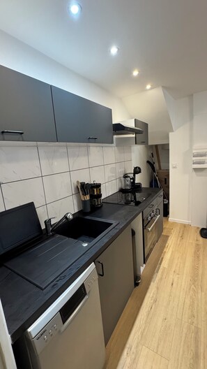 Fridge, microwave, oven, stovetop - Comfort in Le Mont-Dore - Pets allowed (Mont-Dore)