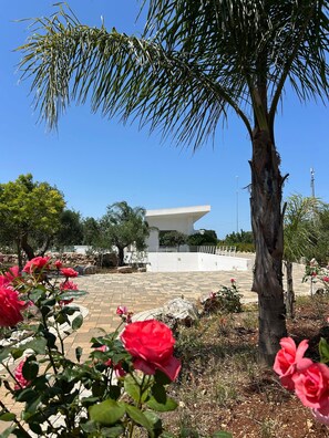 Property grounds - Villa Nilde – Luxury Pool Villa in Authentic Puglia (Triggianello)