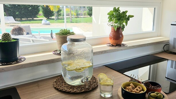 Eine Küchenarbeitsplatte mit einem großen Glasbehälter, einer Topfpflanze, einer Schüssel mit Snacks und einem Glas Wasser.