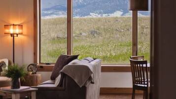 Smart-tv, eldstad och böcker