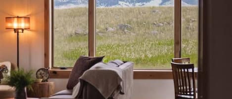 TV connectée, cheminée, livres