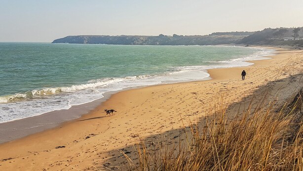 Een zandstrand met een persoon en een hond.