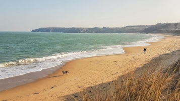 Pesca
