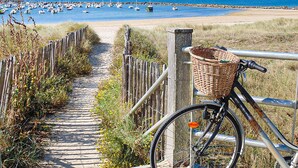 A bicycle with a basket parked on a wooden path leading to a beach. - Cocon près de la Baule (Saint-André-Des-Eaux)