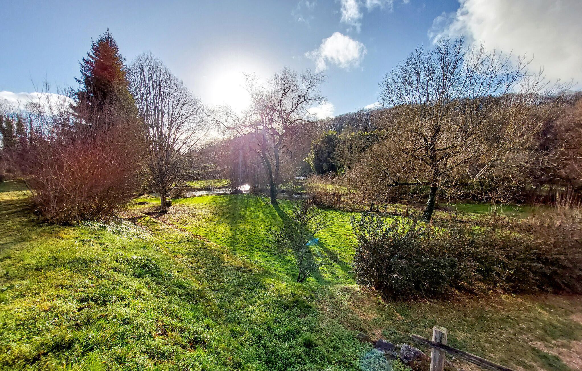 Üppige grüne Landschaft mit Bäumen und blauem Himmel.