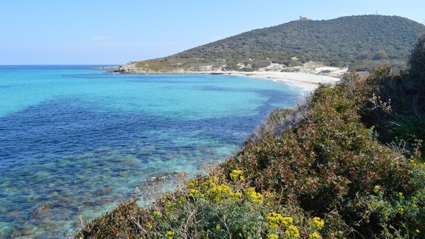 Ett kustlandskap med klart blått vatten, en sandstrand och en kulle med gles vegetation.