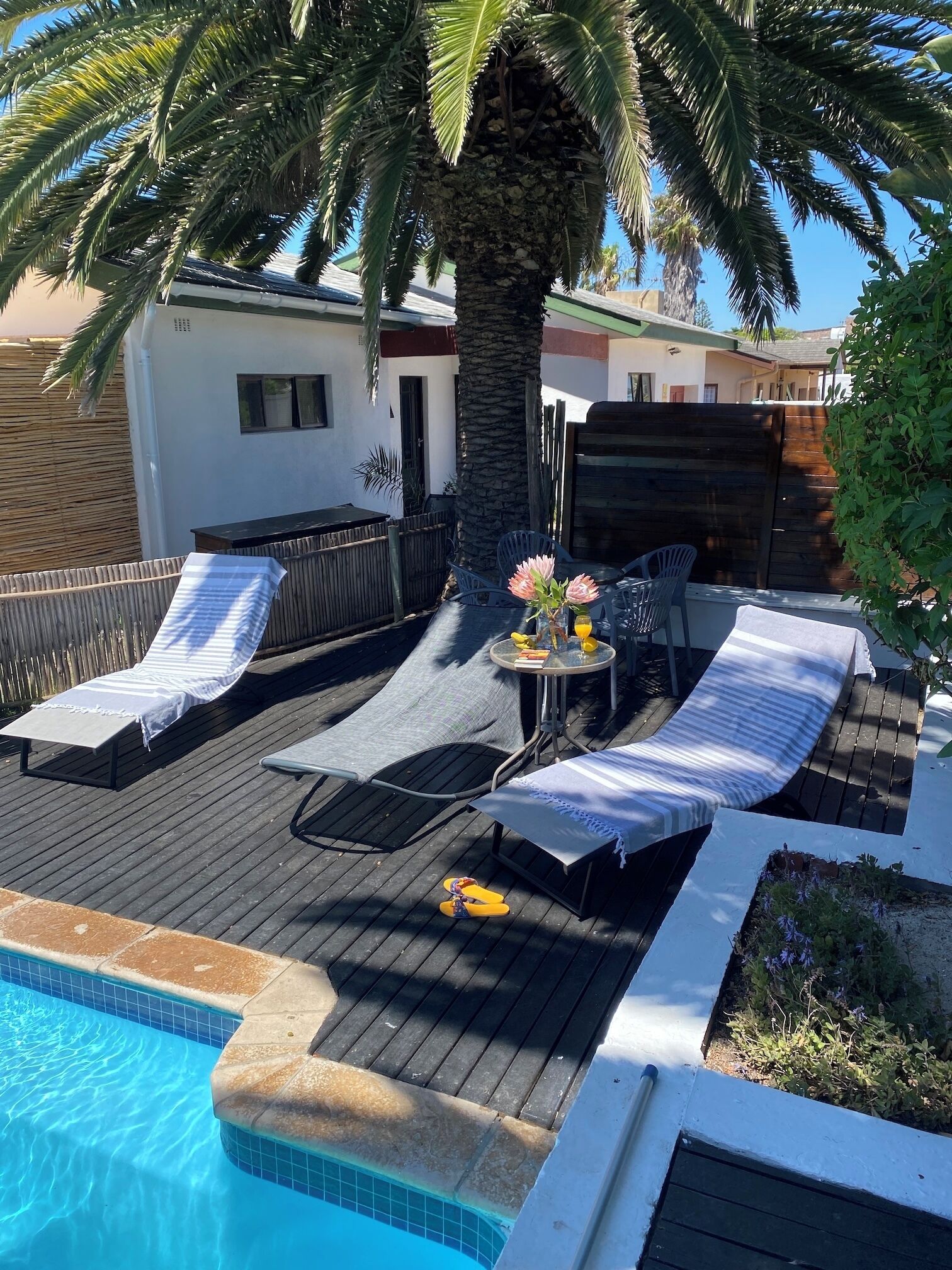 A poolside area with lounge chairs, a table with a vase of flowers, and a palm tree.