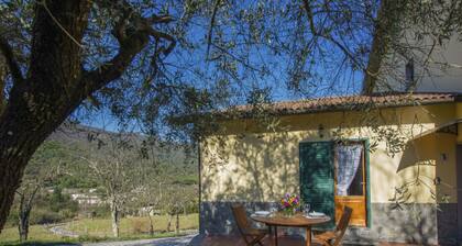Pianaccio by Interhome