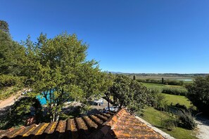 Property grounds - A Place to Dream – Your Perfect Tuscan Home (Fucecchio)