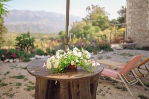 Property grounds - Marias Serene Countryside Retreat, House (Chania)