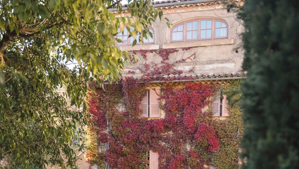 A courtyard with a fountain, a statue, and a building with ivy-covered walls. - Auberge du Presbytère (Saignon)