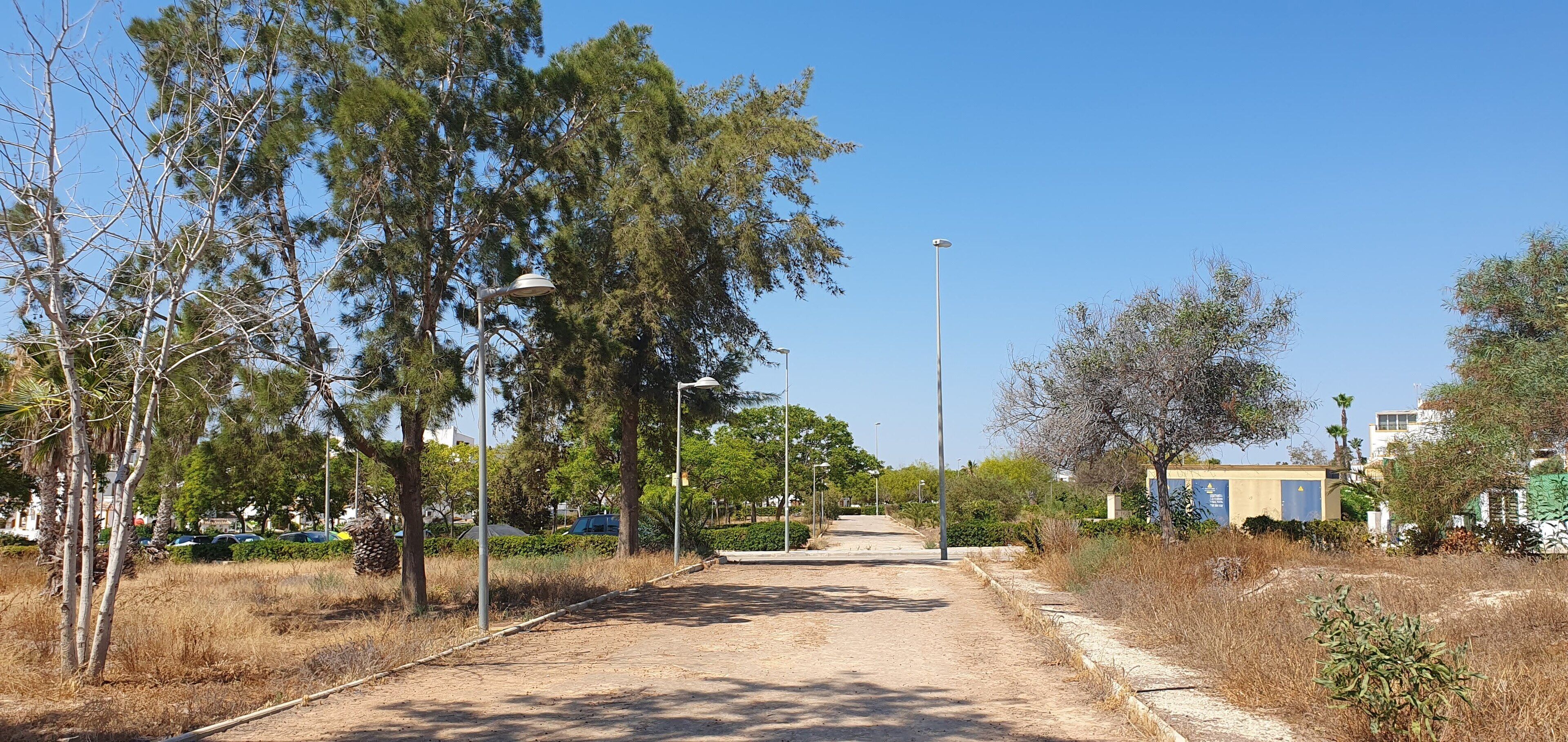 Un chemin bordé d’arbres et d’éclairages publics, qui mène à un bâtiment à la façade jaune.