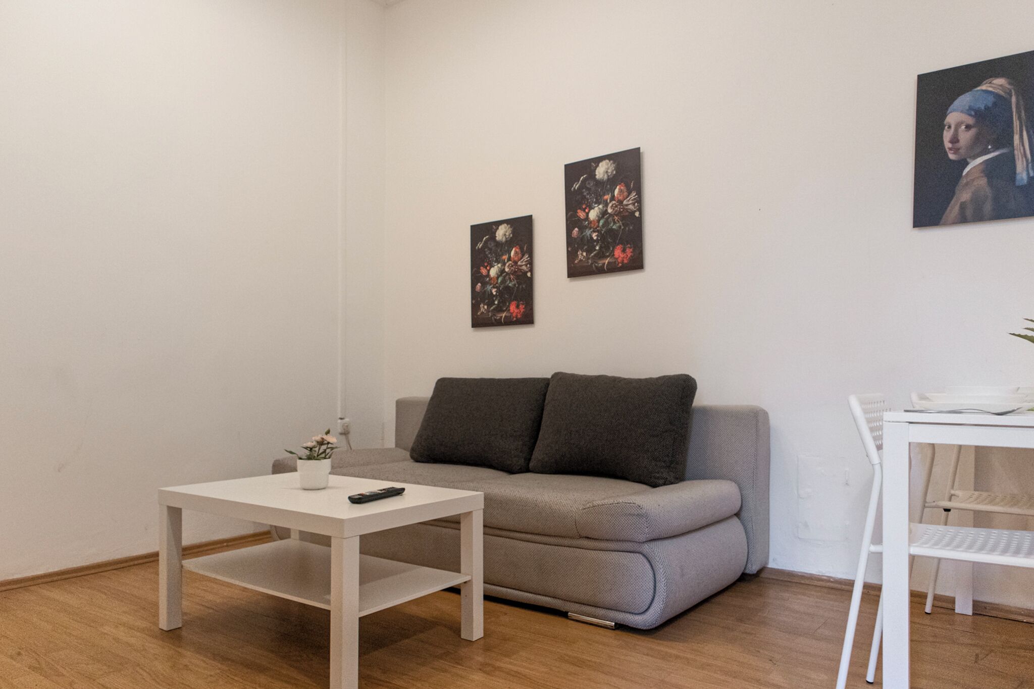 Apartament bàsic | Sala d'estar