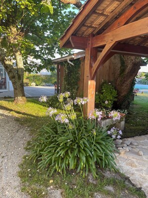 Property grounds - Old Maison de Maitre with great comfort (Gujan-Mestras)