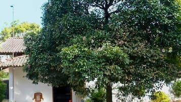 Voorkant van accommodatie