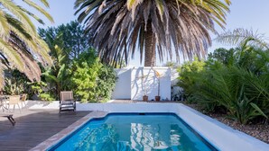 Una piscina con muelle de madera, rodeada de plantas tropicales y una palmera.