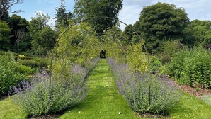 A garden pathway with lavender bushes on either side, leading to a central tree. - Private Garden House, Historic Castle Estate, Pool, Tennis & Gardens (Togher)