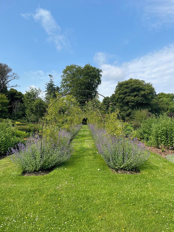 Property grounds - Private garden house with cold water natural swimming pool in Castle estate. (Togher)