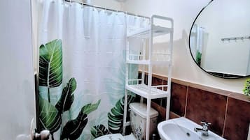 Shower, hair dryer, bidet, towels