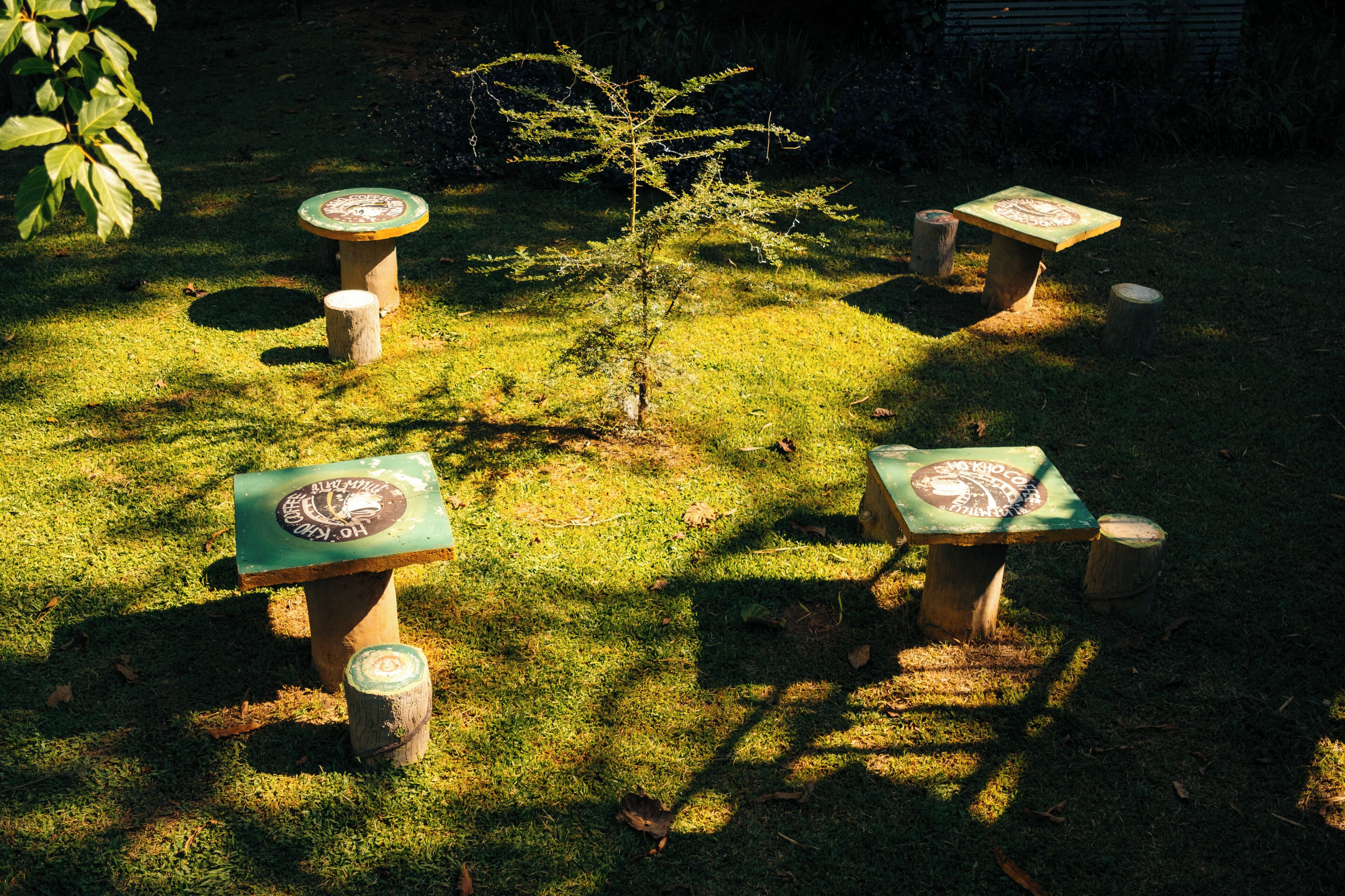 A series of outdoor wooden tables with green tops and white center designs, arranged on a grassy area with shadows cast by nearby trees.