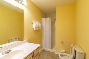 Secadora de cabello, toallas, jabón, papel de baño