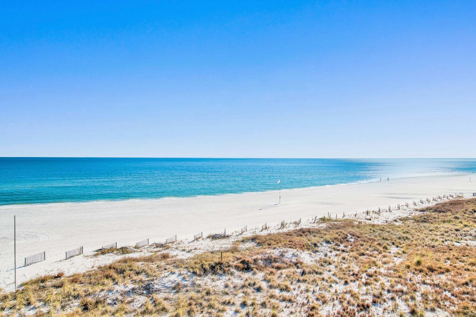 A beach with a clear sky, sandy shore, and sparse vegetation.