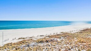 Ein Strand mit klarem Himmel, sandigem Ufer und wenig Vegetation.