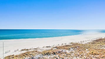 A beach with a clear sky, sandy shore, and sparse vegetation.
