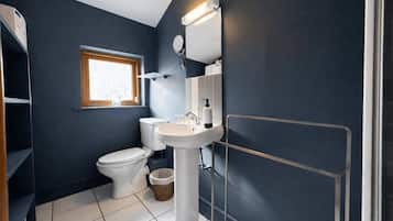 Shower, hair dryer