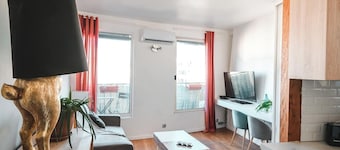 Central Paris, lovely bright studio with terrace