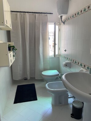 Shower, hair dryer, bidet, towels - APT. GALILEICO - 3 mins to Santo Spirito with aircon/heating.  Sleeps up to 6. (Firenze)