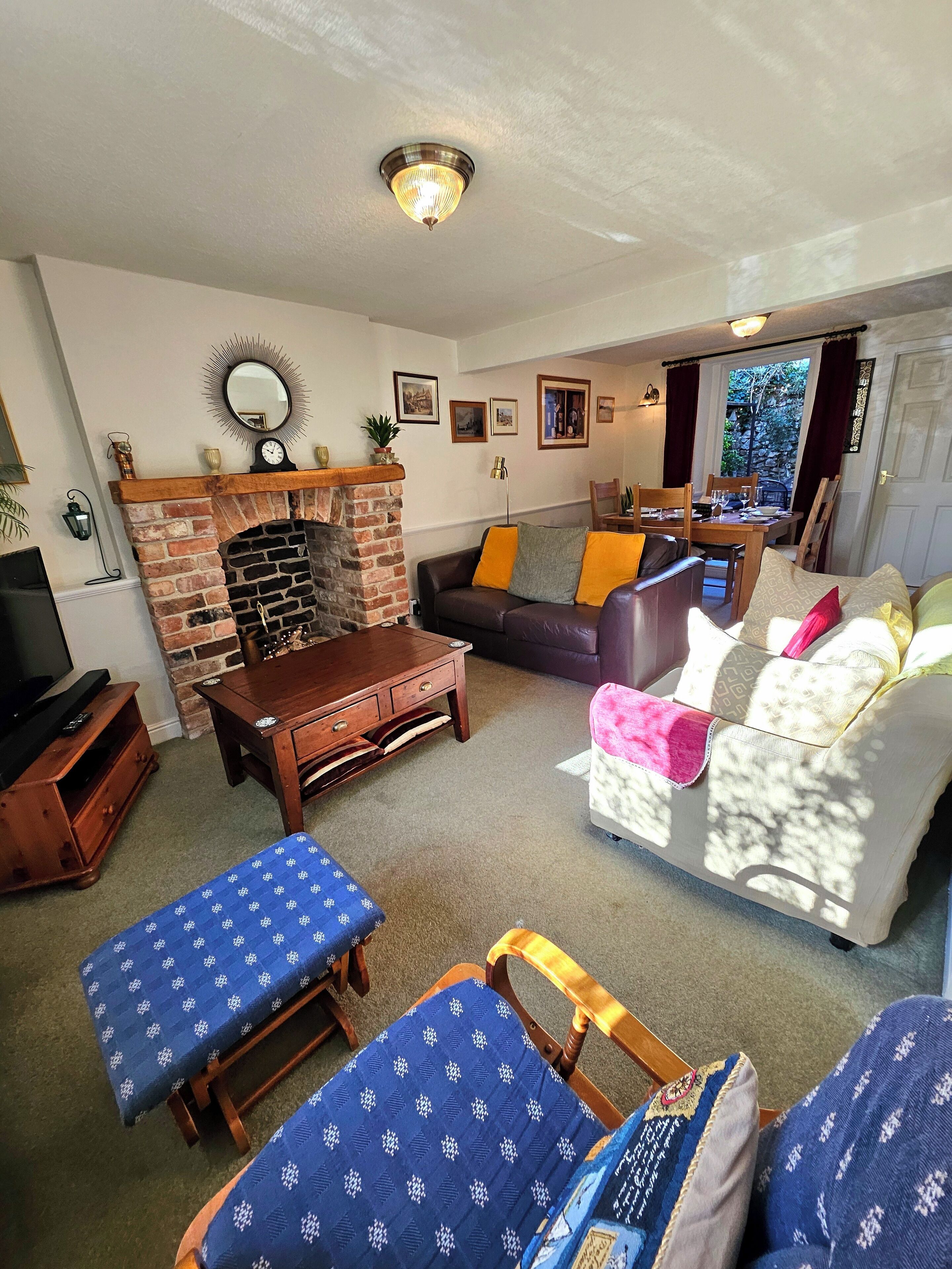 TV, DVD player, books, video library