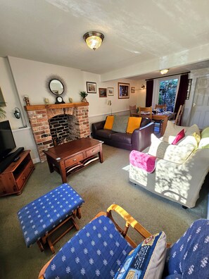 TV, DVD player, books, video library