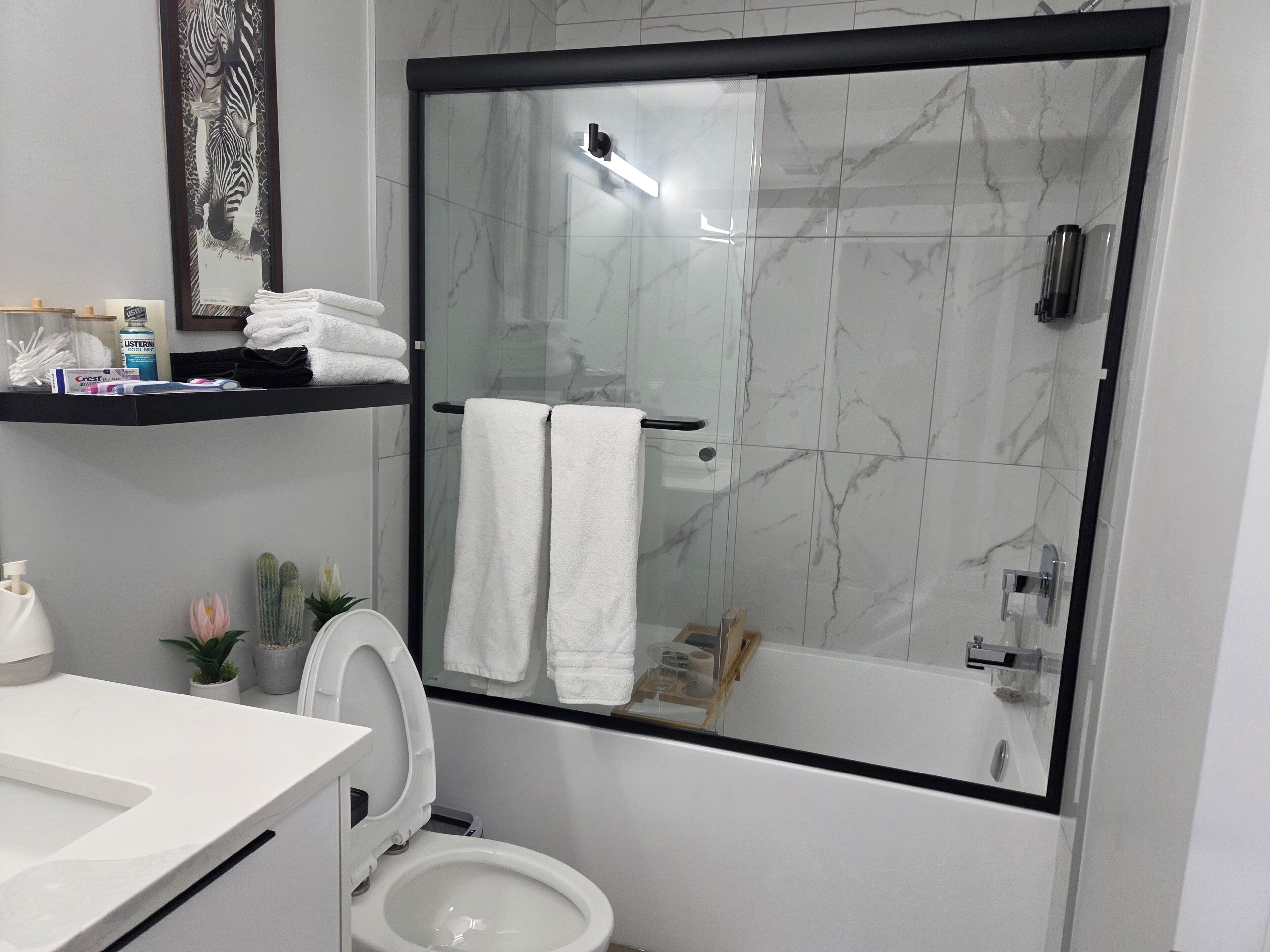Hair dryer, towels, soap, toilet paper