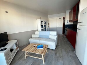 TV - Renovated apartment with air conditioning and Internet, Port Grimaud (Port Grimaud)