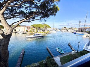 Unclassified image, 4 of 19, button