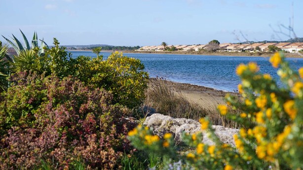 Un paisaje costero con vistas despejadas al mar, una playa de arena y una hilera de casas al fondo.