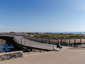 Ranta