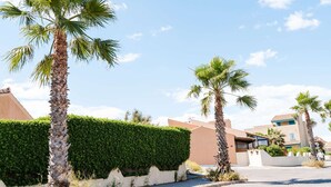 Una calle residencial con palmeras, setos y casas de fachada beige y marrón.
