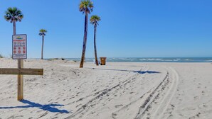 Een zandstrand met palmbomen en een bord waarop de strandregels staan.
