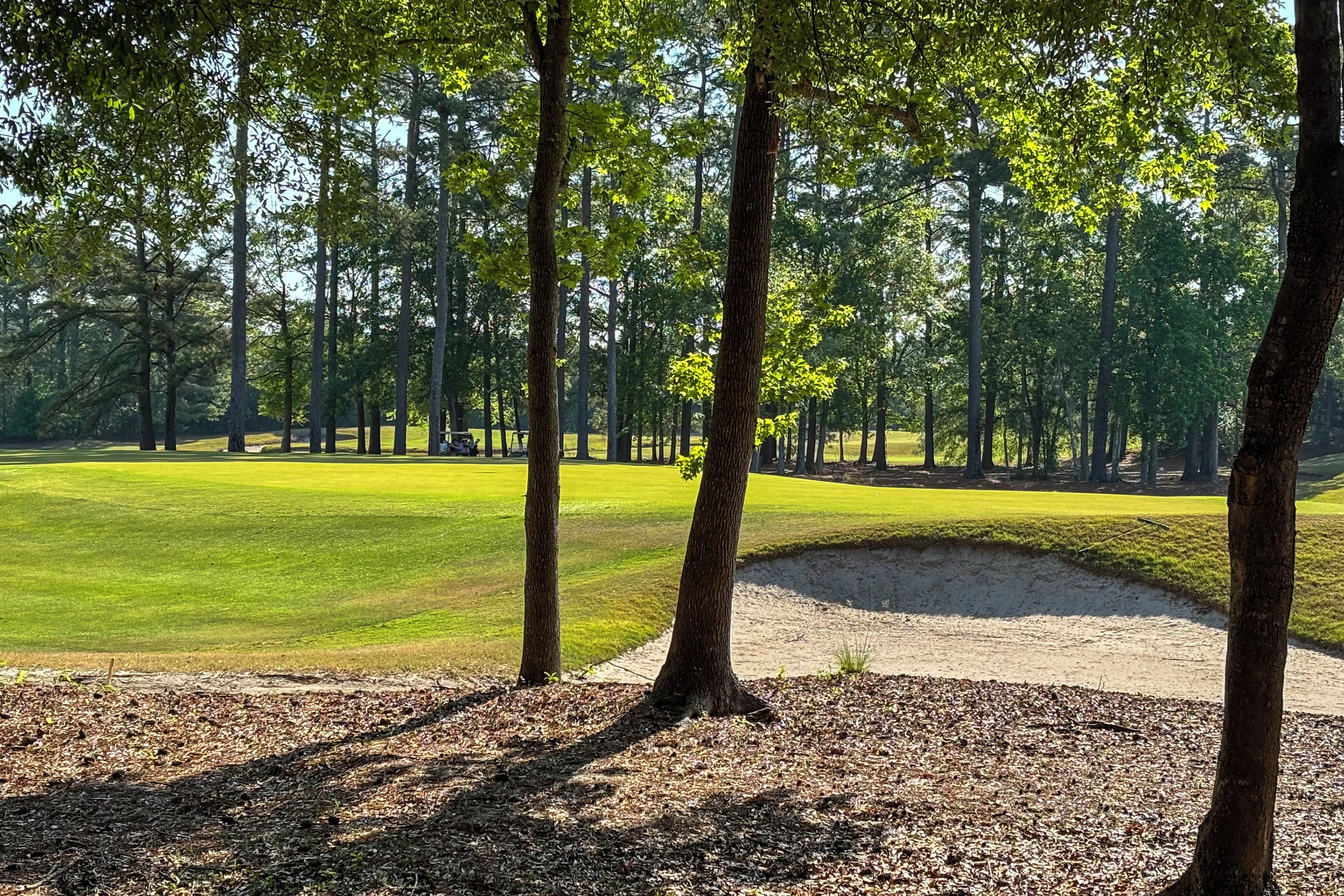 Un parcours de golf avec un bunker de sable et des arbres.