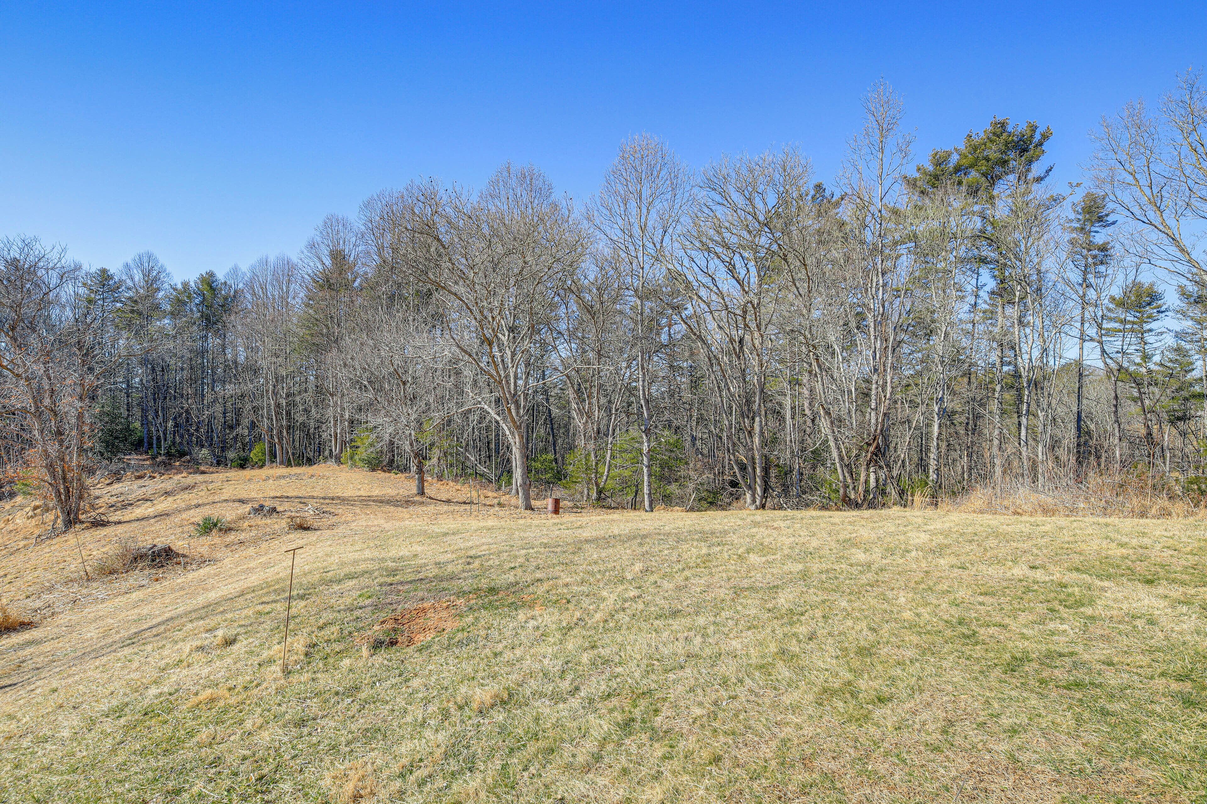 A grassy field with trees and a clear blue sky.